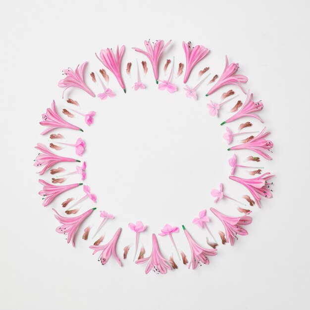円の形で素晴らしいピンクの花の組成