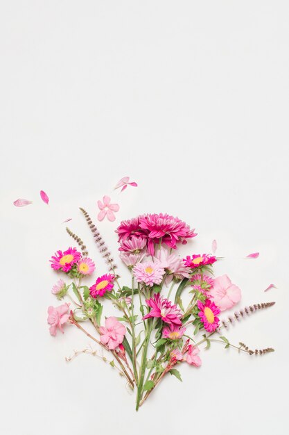 composition of wonderful pink flowers