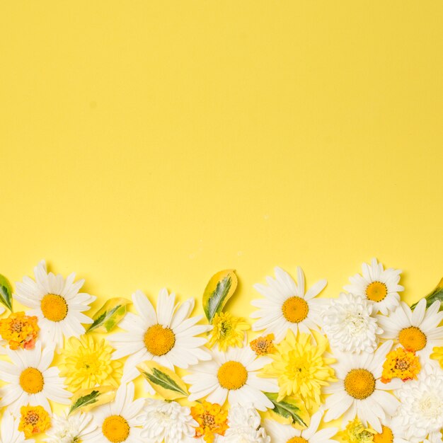 Composition of wonderful white blooms