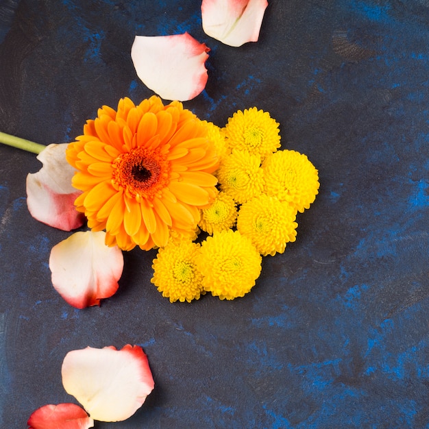 Foto gratuita composizione di fiori gialli e petali di rosa