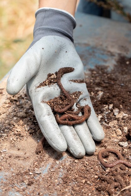 Compost still life concept with earthworms