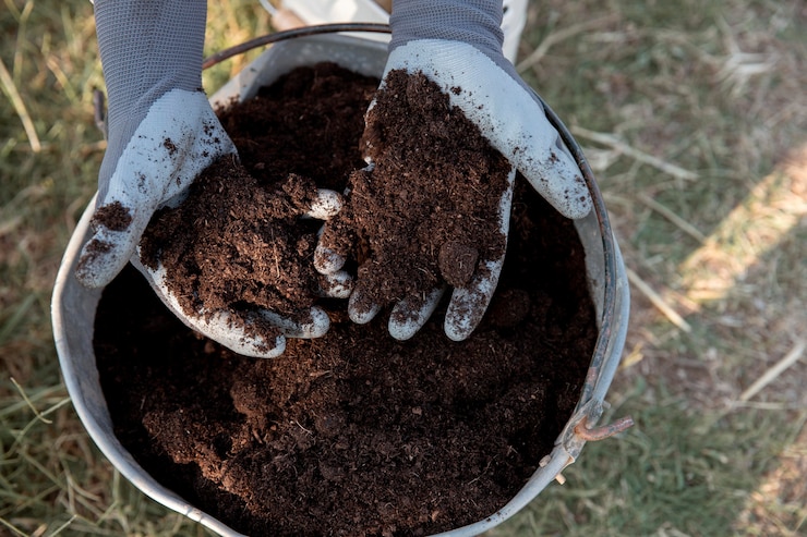 Free Photo compost still life concept