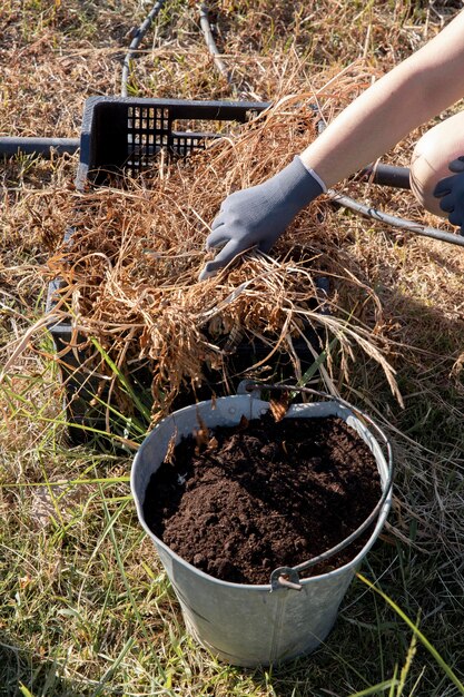 Compost still life concept