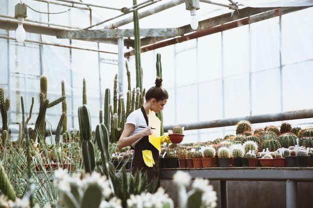 Concentrated young lady standing in greenhouse