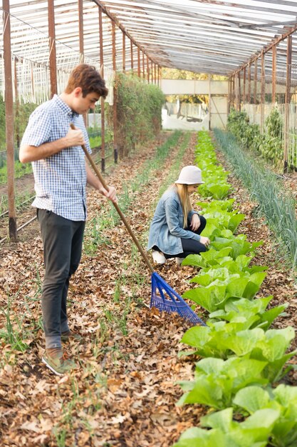 地面に乾燥した葉を拭く、濃縮若い男