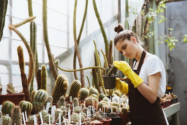 植物を保持している温室に立っている若い女性を集中