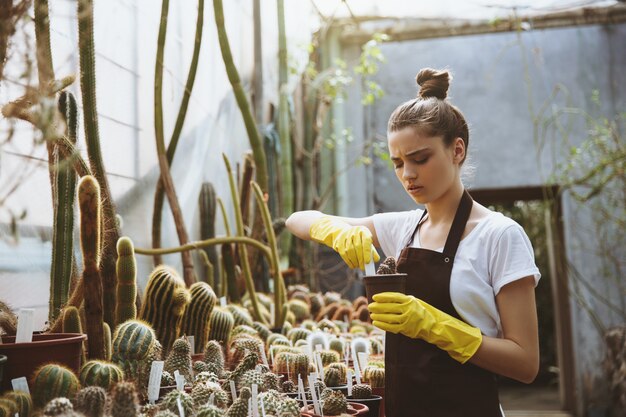 植物を保持している温室に立っている若い女性を集中