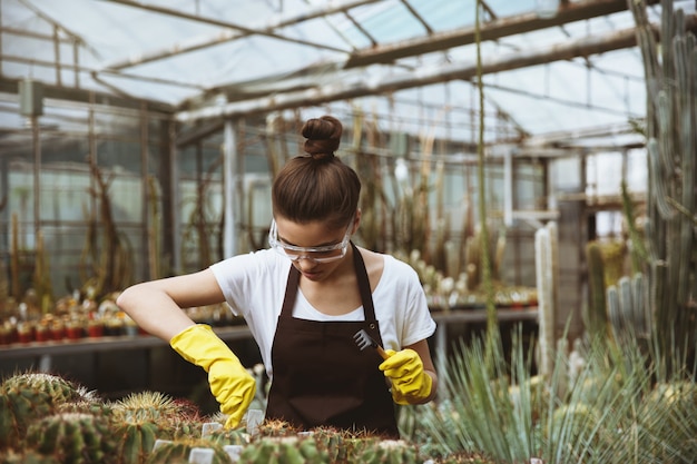 Concentrated young woman standing in greenhouse near plants