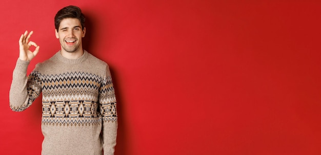 Concept of christmas celebration, winter holidays and lifestyle. Image of handsome and confident man in xmas sweater, guarantee something, showing okay sign and smiling, red background