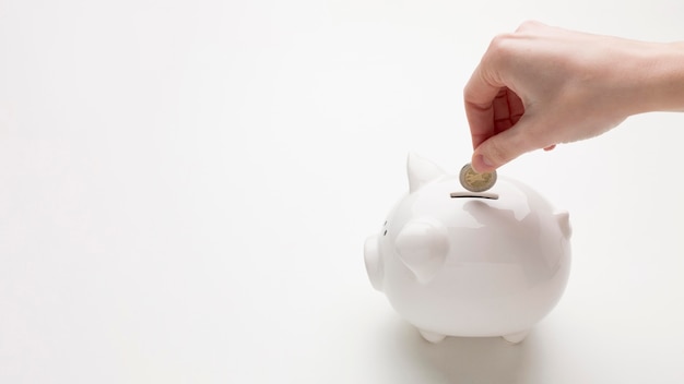 Free photo concept of economy with piggy bank and money