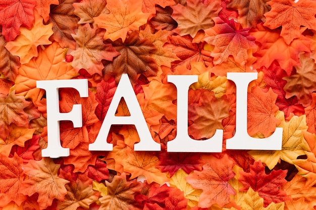 Concept Fall sign designed on autumn leaves