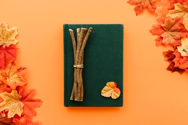 Concept flat lay in autumn leaves frame