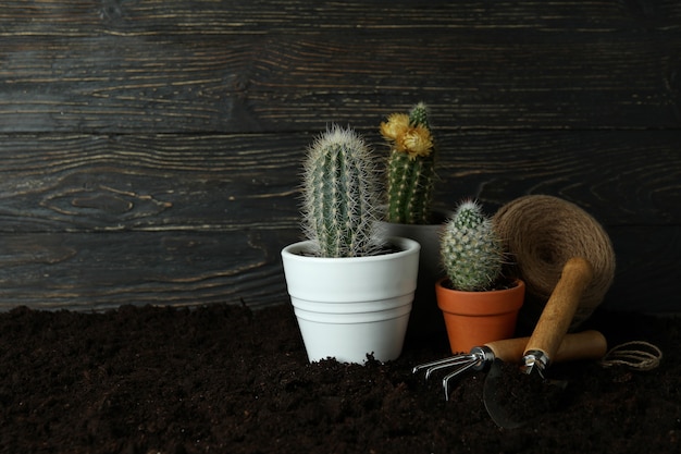 Concept of gardening on soil background