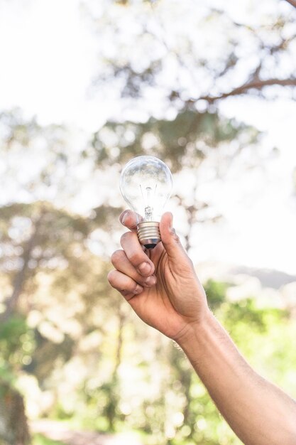 自然に対する電球を持つ概念の手