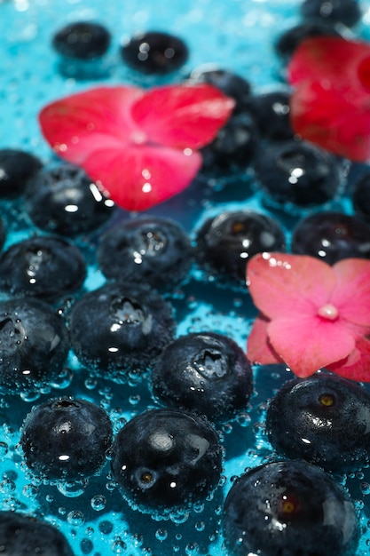 水中の新鮮な夏の果物ブルーベリーの概念