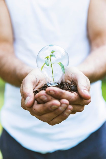 Concept plant in glass bulb