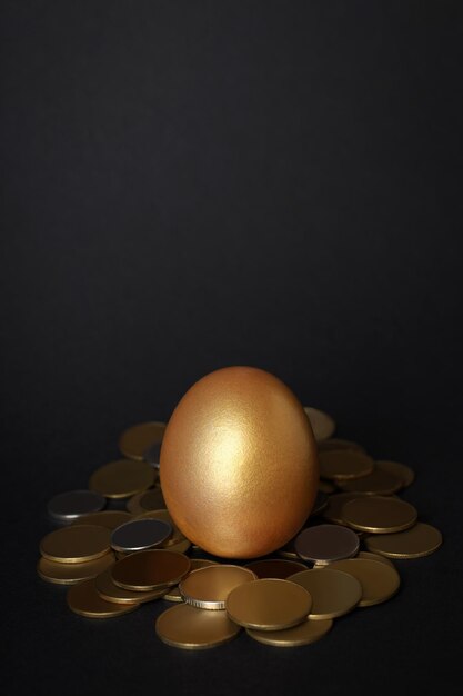 富と退職金の卵の概念