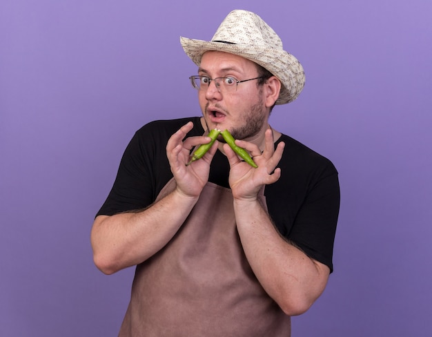 Concerned young male gardener wearing gardening hat breaking pepper isolated on blue wall