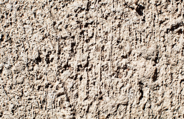 Free photo concret texture