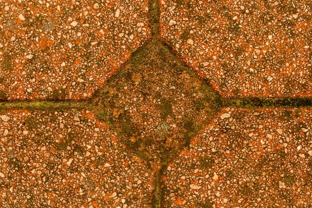 Concrete pattern with pebbles and moss