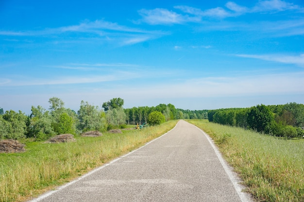 Concrete road surrounded by green trees with a blue sky in the