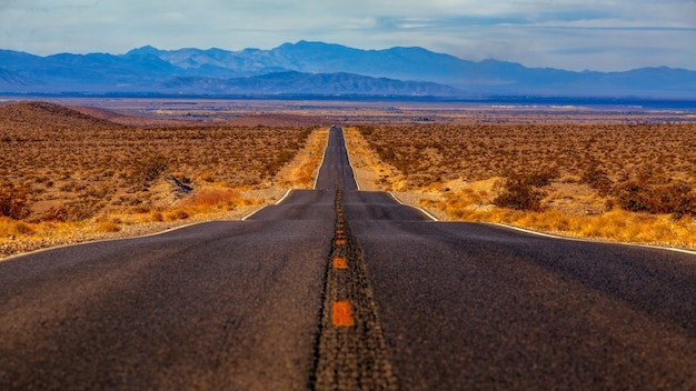 砂に囲まれたコンクリート道路