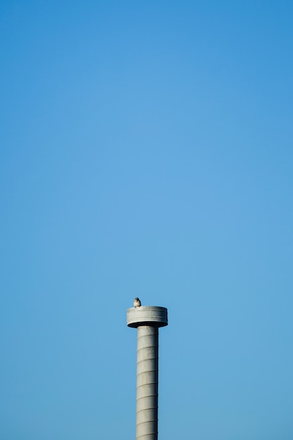 Concrete tower with bird
