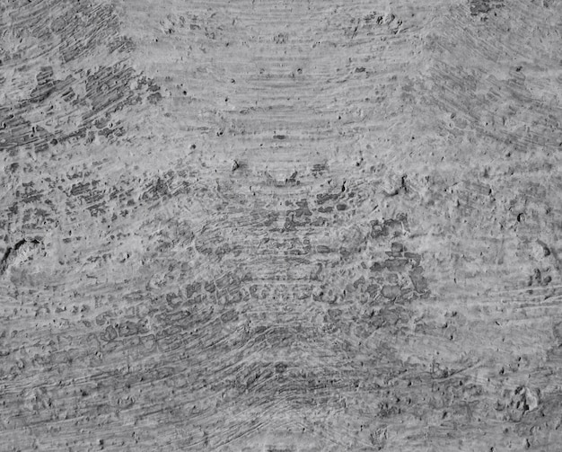 Free photo concrete wall texture