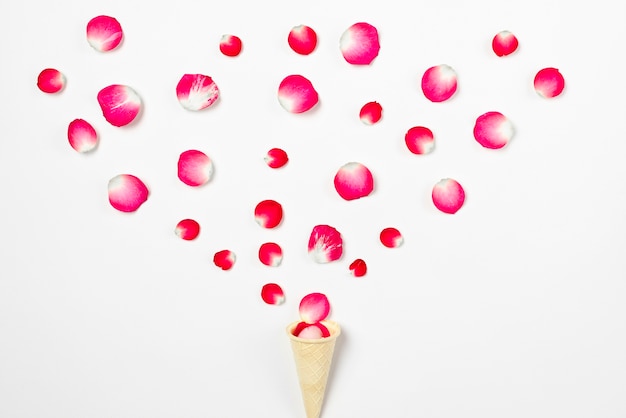 Free photo cone and petals composition
