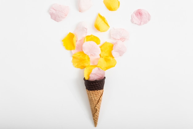 Free photo cone with flower petals