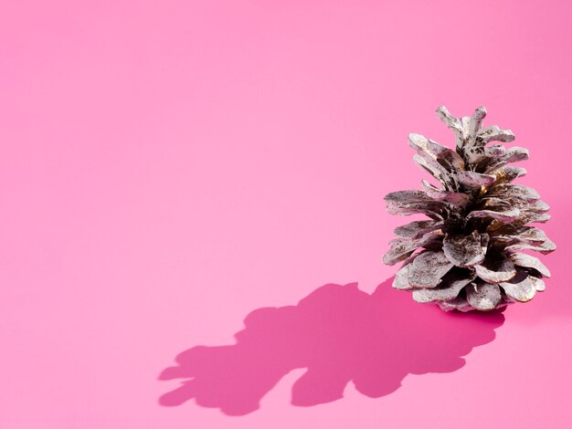 Cone with shadow on pink background