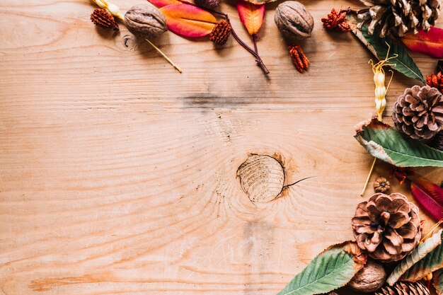 Cones among colourful leaves