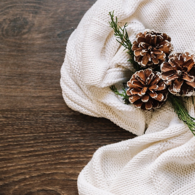 Cones with green branches on light scarf