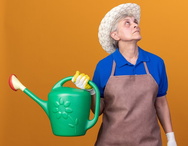 Confident elderly female gardener wearing gardening hat and gloves holding watering can and looking up