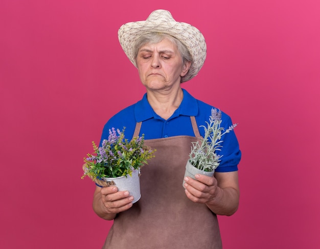 Confident elderly female gardener wearing gardening hat holding and looking at flowerpots