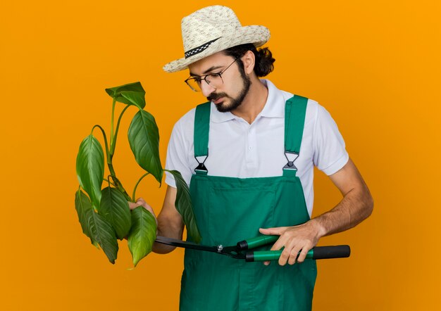 Confident male gardener in optical glasses wearing gardening hat holds clippers and looks at plant 