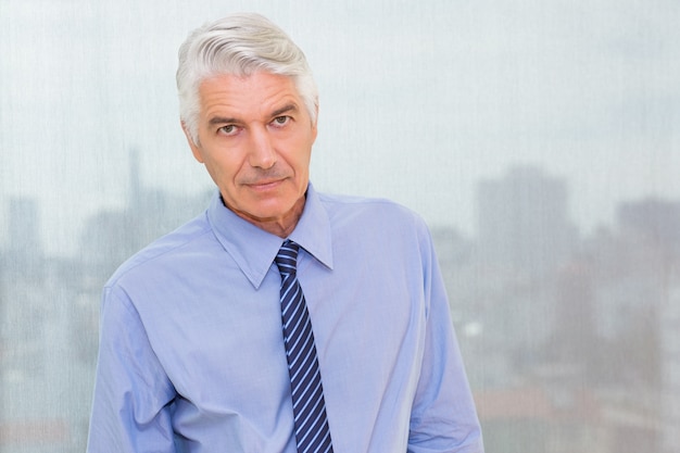 Confident senior executive looking at camera