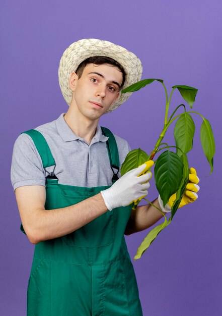 원예 모자와 장갑을 끼고 자신감이 젊은 남성 정원사는 식물을 보유