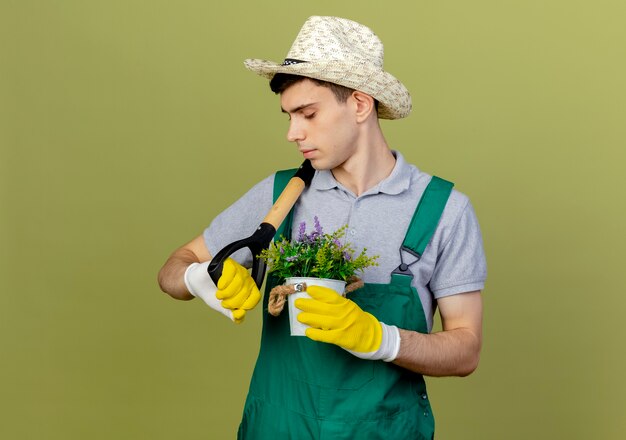 Confident young male gardener wearing gardening hat and gloves holds spade on shoulder and flowers in flowerpot 
