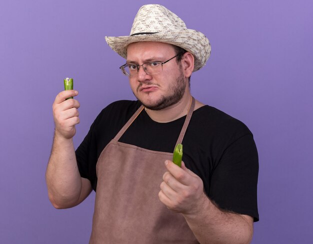 Confident young male gardener wearing gardening hat holding breaking pepper isolated on blue wall