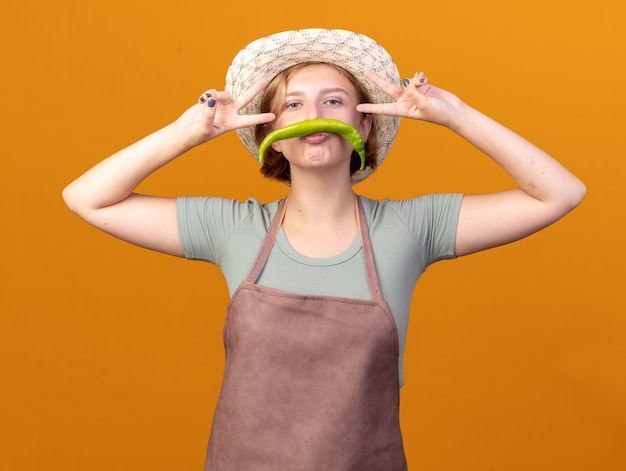 Confident young slavic female gardener wearing gardening hat holding hot pepper on lips and gesturing victory sign on orange