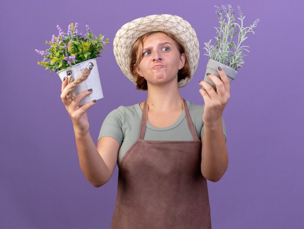 Confused young slavic female gardener wearing gardening hat holds and looks at flowers in flowerpots on purple