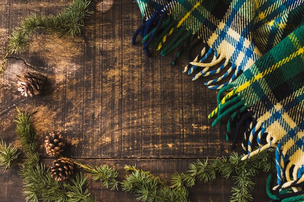 Conifer cones and branches near blanket