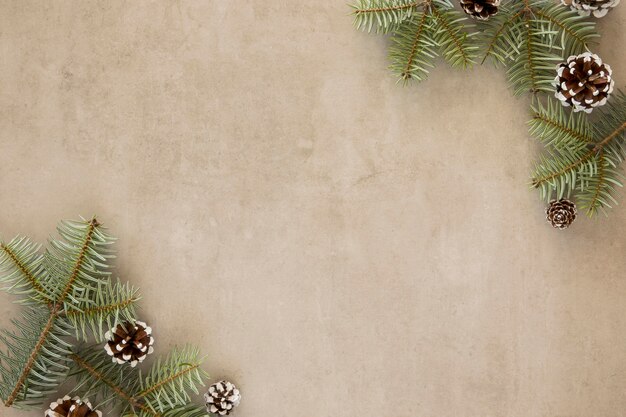 Conifer cones and leaves top view