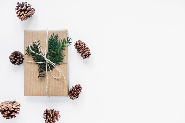 Conifer cones lying around gift with twig