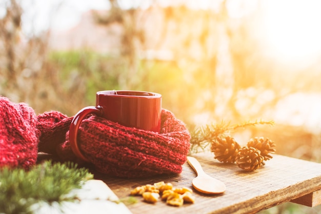 Conifer cones and twigs near sweater and beverage