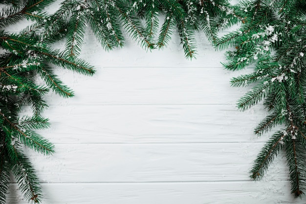 Coniferous branches with snow