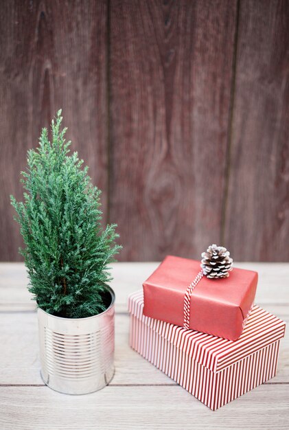 Coniferous plant in tin near present boxes in wraps