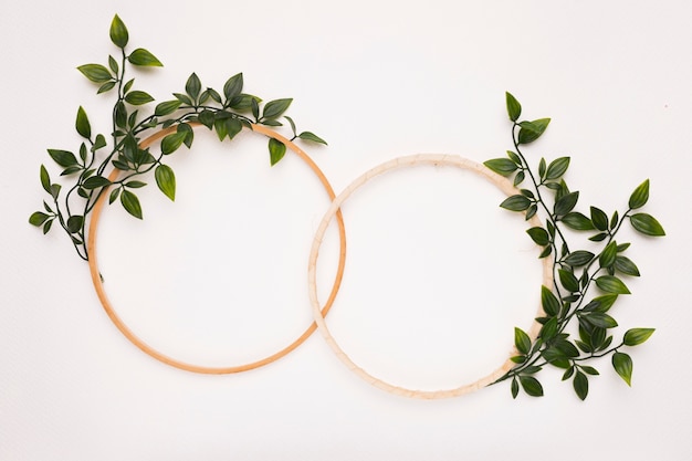Connected wooden circular frames with green leaves on white background