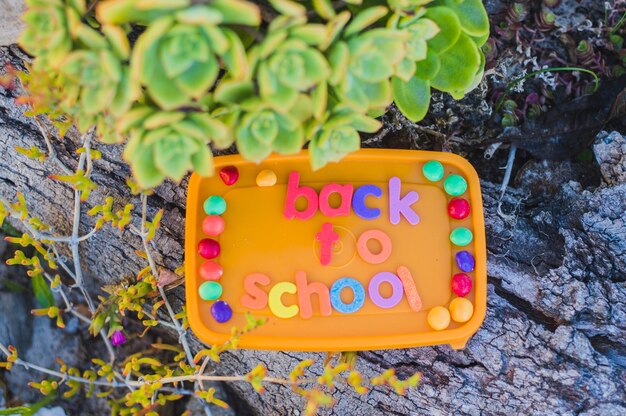 Container lid with letters